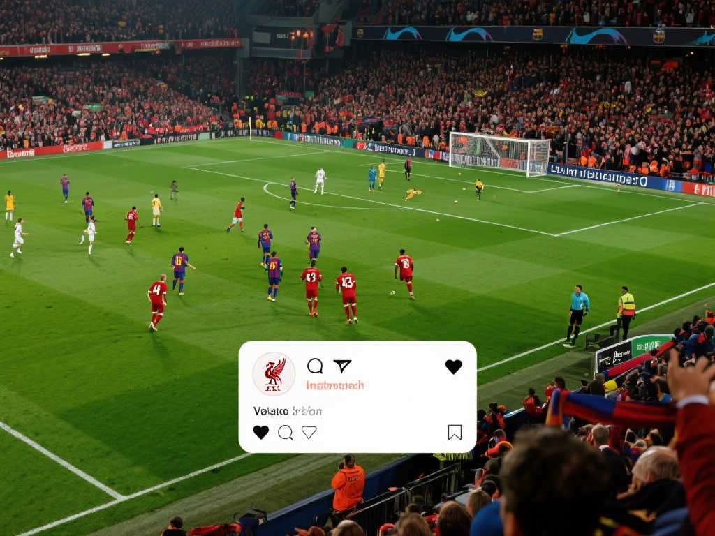 到预期的高 到预期的高